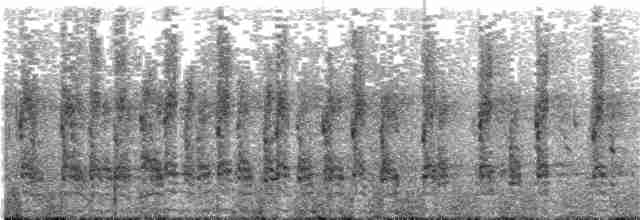 perlička kropenatá [skupina mitratus] - ML203933171