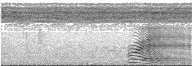 Graulärmvogel - ML203933361