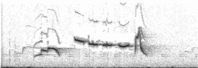 Weißbrauen-Heckensänger [leucophrys-Gruppe] - ML203933381