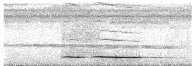 Ochre-striped Antpitta - ML203933981