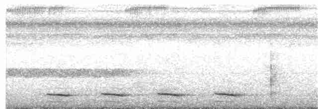 White-shouldered Antshrike - ML203933991