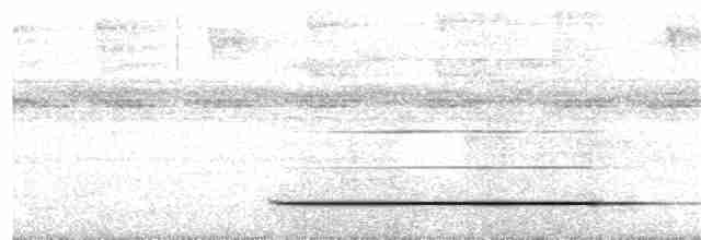 Variegated Tinamou - ML203934011