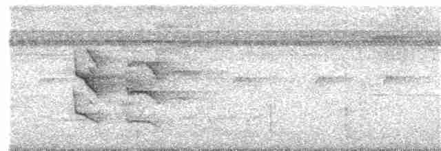 White-flanked Antwren (White-flanked) - ML203934071