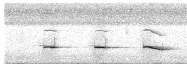 Kestane Sırtlı Karıncakuşu (maculifer/cassini) - ML203934091