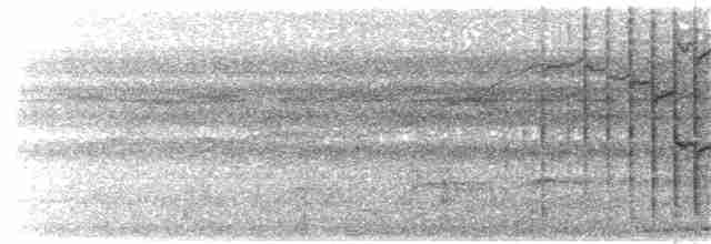 Amazon Oropendulası (yuracares/neivae) - ML203934611