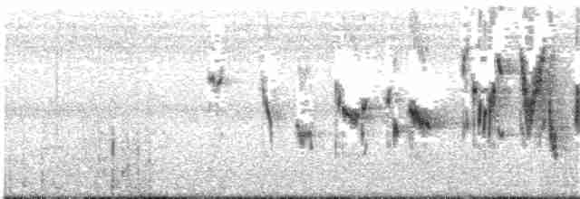 krattlerke (africanoides gr.) - ML203935281