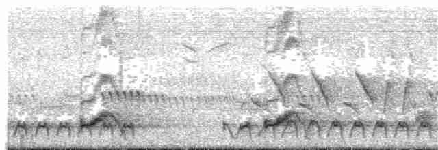 Африканская хохлатая кукушка - ML203935521