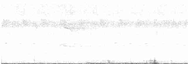 Гололицая либия (calvus/congicus) - ML203936061