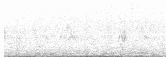 Lesser Whitethroat (halimodendri) - ML203936391