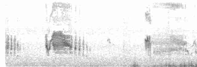 Пісочник маорійський (підвид aquilonius) - ML203936651