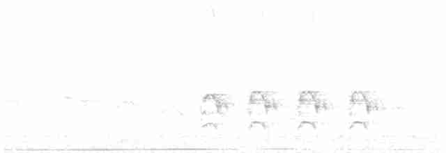 ledňáček posvátný (ssp. vagans) - ML203936751