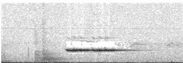 sitronbuskvarsler (zeylonus gr.) - ML203937081