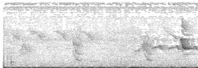 Lesser Striped Swallow - ML203937191