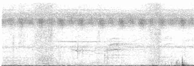 Rotschnabel-Brillenvanga (caniceps) - ML203937891