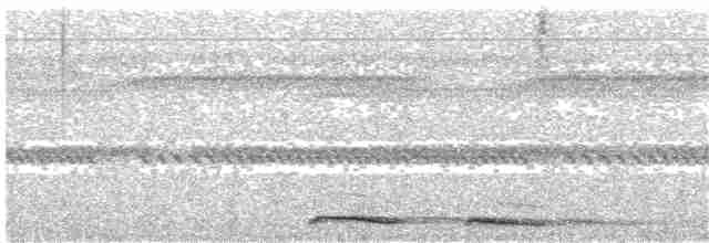 Кукушечья иглоногая сова - ML203938041