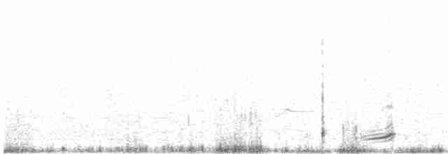 Чернобрюхий корхан - ML203938091
