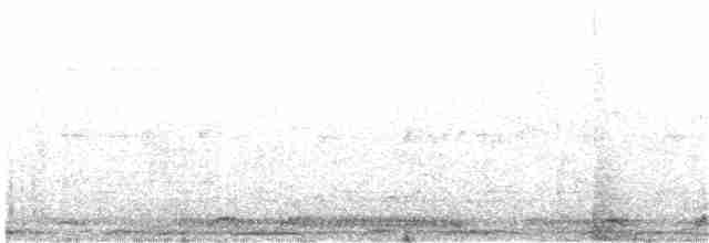 Halkalı Kap Kumrusu - ML203938131