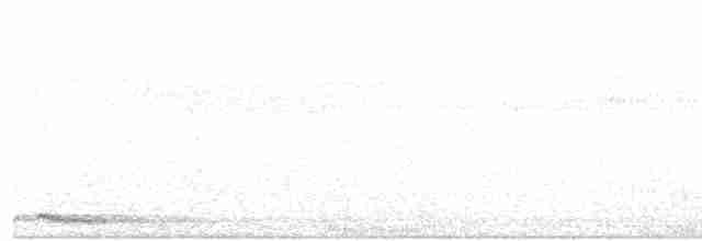 Кукушечья иглоногая сова - ML203938171