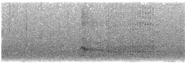 Дятлик акацієвий (підвид bennettii) - ML203938391