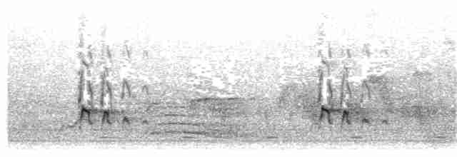 Светлобрюхий зимородок - ML203938541