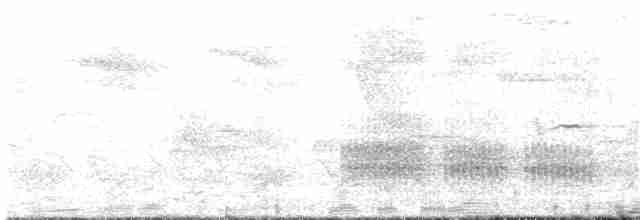 svarthetteskriketrost (stictilaema) - ML203939131