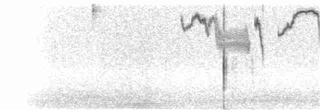 Yanardağ Kolibrisi (torridus) - ML203939531