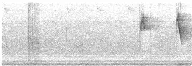 Желтогорлая нектарница - ML203942431