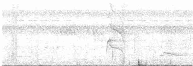 Barbican chauve (calvus/congicus) - ML203943381