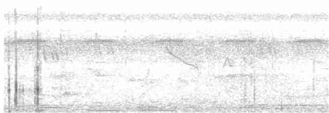 Мухарка лісова (підвид prosphora/kelsalli) - ML203943441