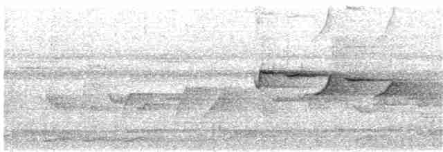 Gri Başlı Kanarya Sinekkapanı - ML203944131