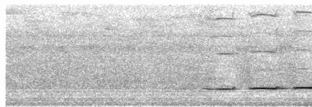 Streak-chested Antpitta (Pacific Slope) - ML203944241