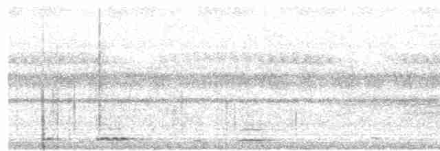 Сплюшка східноазійська [група sunia] - ML203944281