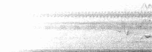 svartnakkepirol (frontalis gr.) - ML203944491