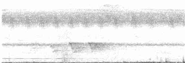 Лібія-зубодзьоб велика (підвид hirsuta) - ML203945241