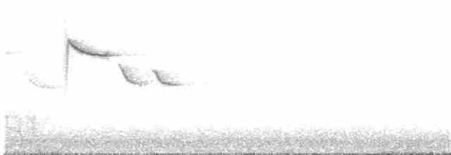 Eurasian Magpie (Eurasian) - ML203945421