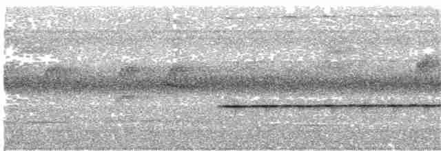 Troglodyte siffleur - ML203946031