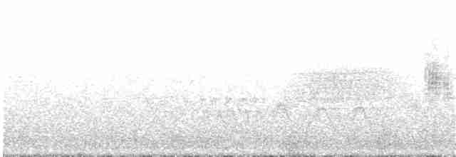 Ev Kırlangıcı (urbicum/meridionale) - ML203947041