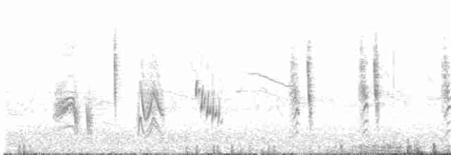 Marsh Warbler - ML203948021