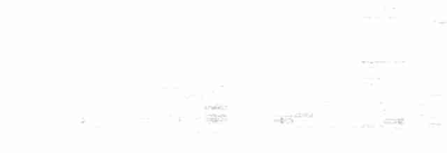 Hirondelle à gorge blanche - ML203948591