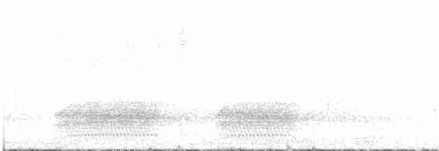 Tannenhäher [caryocatactes-Gruppe] - ML203949261