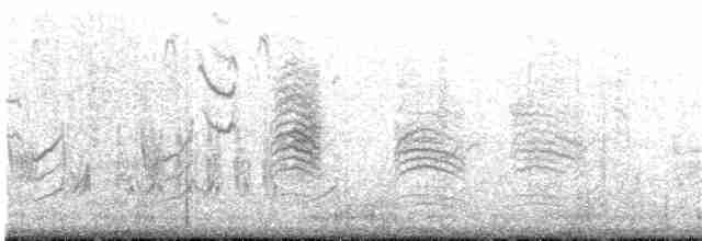 Гаїчка-пухляк звичайна [група montanus] - ML203949541
