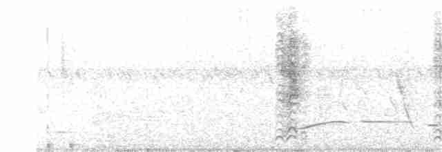 Cratérope à croupion blanc - ML203951471