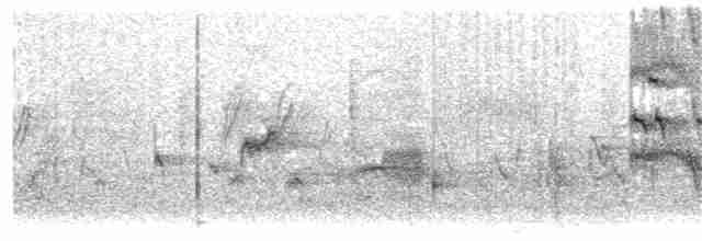 Кратеропа жовтодзьоба - ML203951511