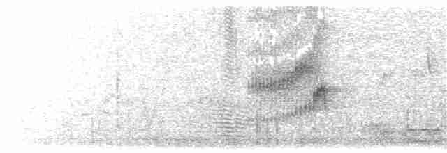 Braunstirn-Brillenvanga - ML203952041