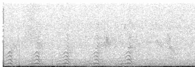 長耳鴞(otus/canariensis) - ML203952061