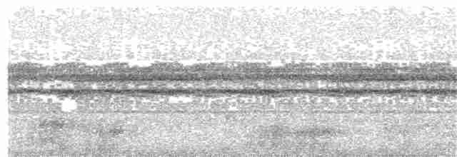 Chouette à lignes noires - ML203952181