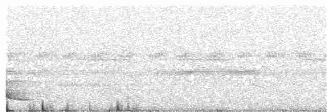 Pauraquenachtschwalbe - ML203952291