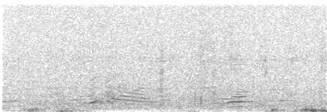 Большой пёстрый дятел (canariensis/thanneri) - ML203952761