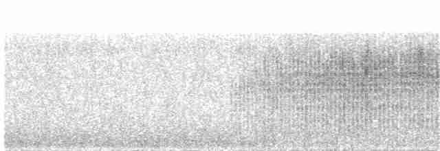 Kundinamarka Dikenkuyruğu - ML203953061