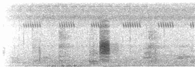 Clamorous Reed Warbler (Brown) - ML203953181